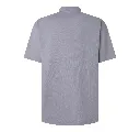 Polo-gris-Dorso-scaled.webp