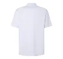 Polo-blanco-Dorso-scaled.webp