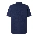Polo-azul-Dorso-scaled.webp