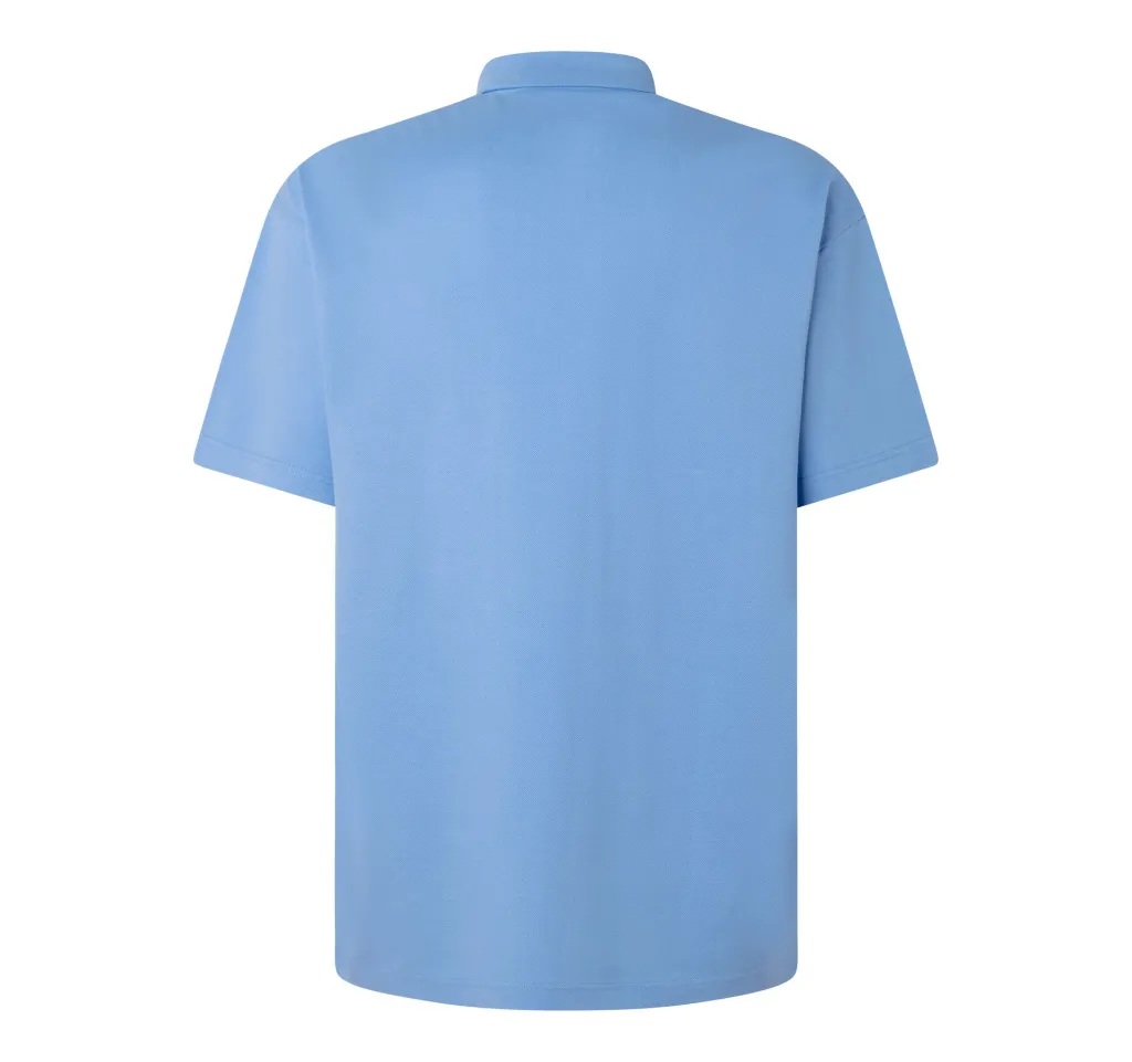 Polo-celeste-Dorso-scaled.webp