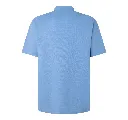 Polo-celeste-Dorso-scaled.webp